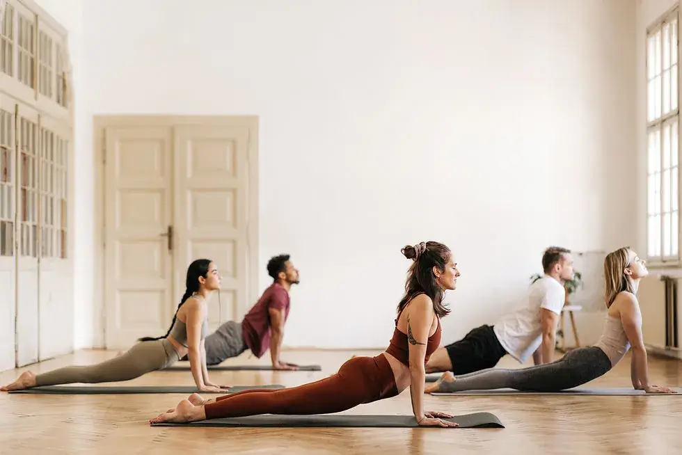 Dynamic Vinyasa Flow yoga class.